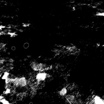 人間惨禍_裏表紙